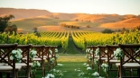 Celebrate your dream wedding at Clarksburg Wedding Venues featuring breathtaking vineyard views.