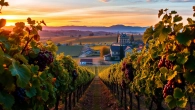 Discover the serene beauty of Clarksburg, CA with rolling vineyards and charming landscapes at sunset.
