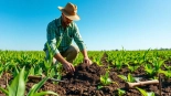 Understanding agricultural law through a farmer's hands inspecting crops in a vibrant field.